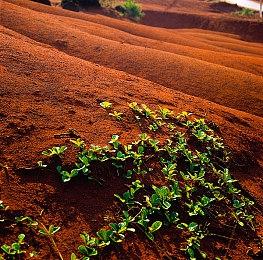 《仙剑奇侠传一》VR版画面首曝 能偷看灵儿洗澡吗？